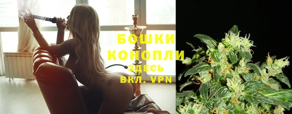МДМА Горняк